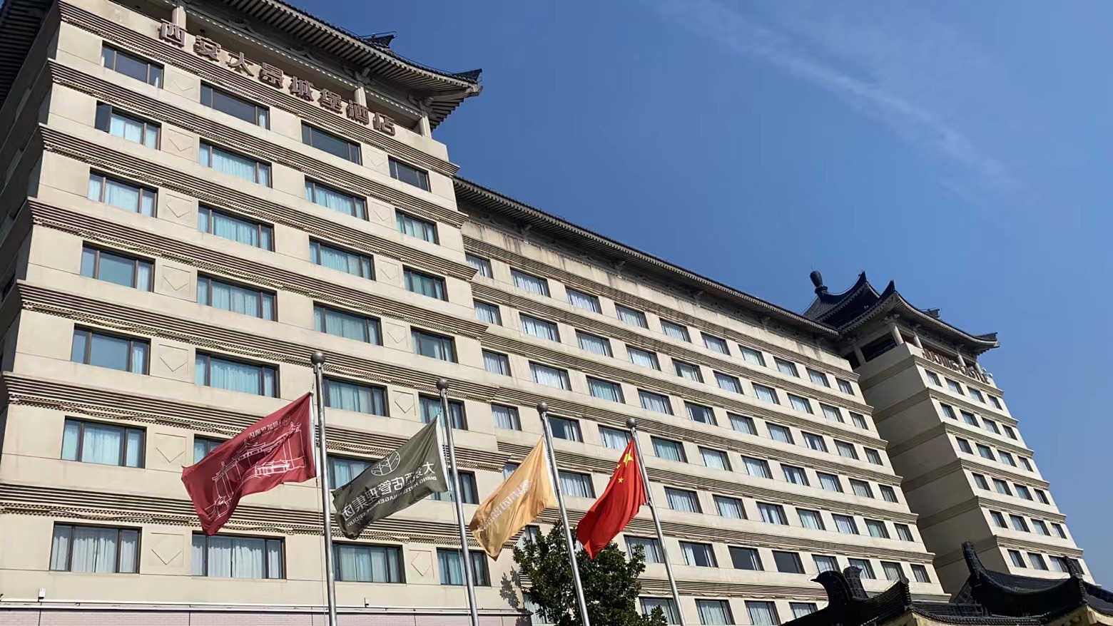 繁花盛妍香满园  群星汇聚展未来