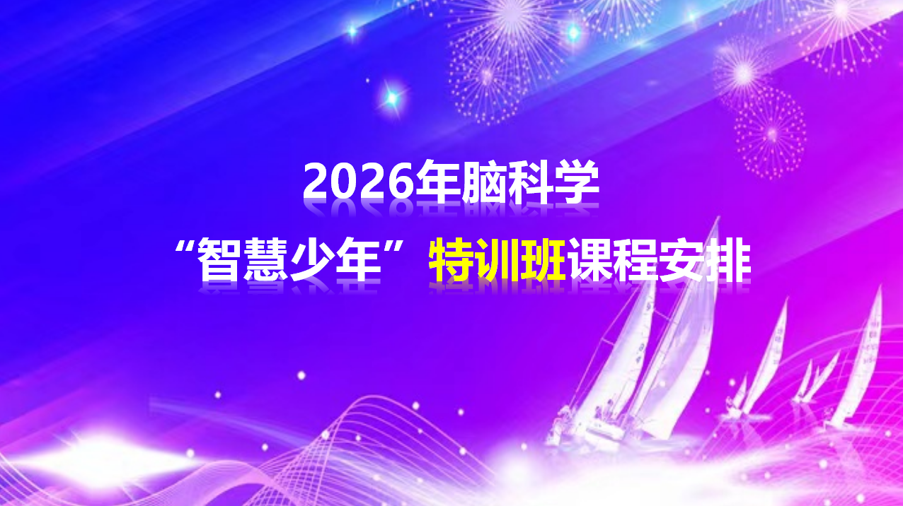2026年脑科学“智慧少年”周末特训班课程安排