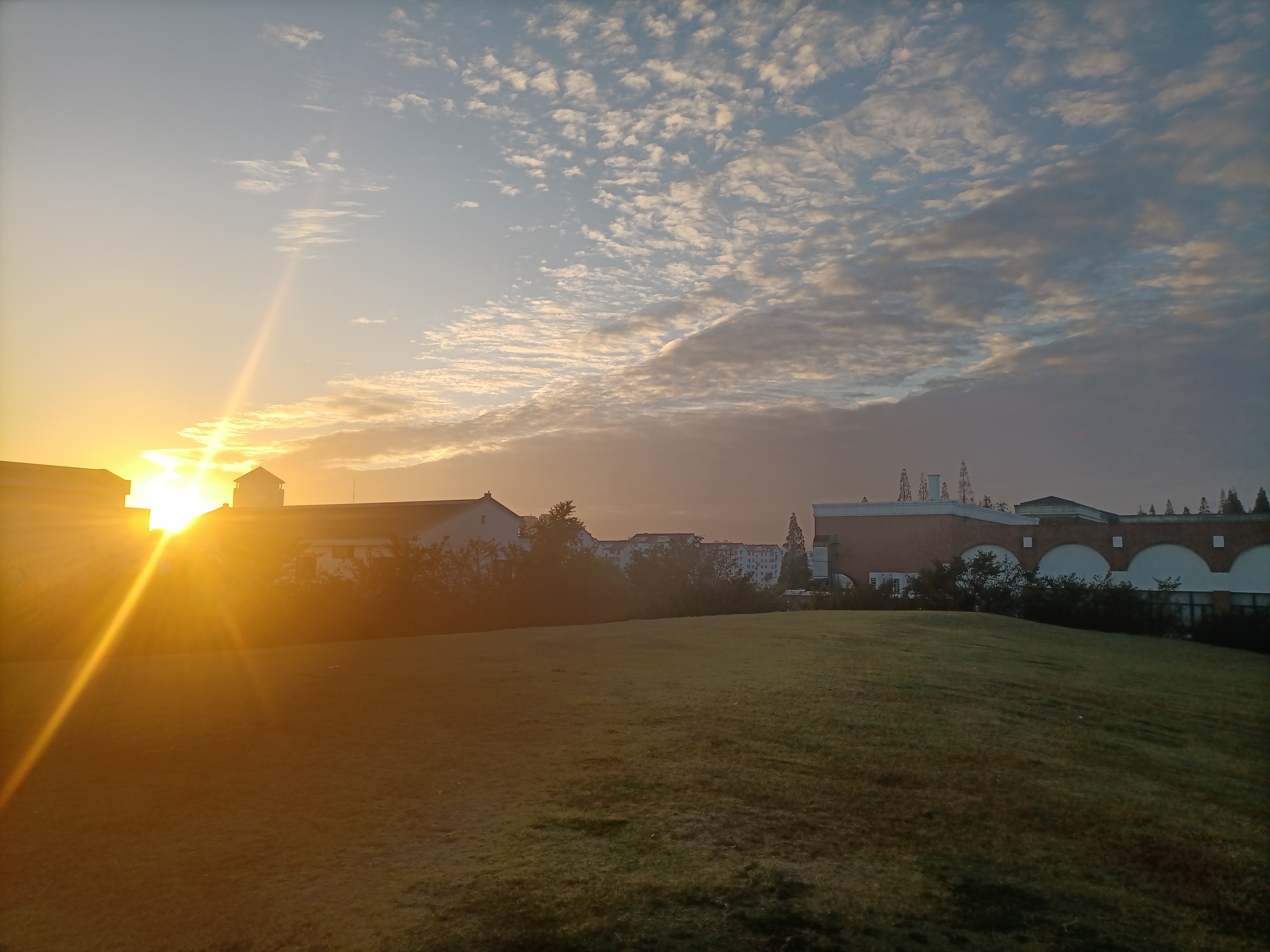 苏州大学2025年首期脑科学素质教育骨干师资研修班第三天学习分享