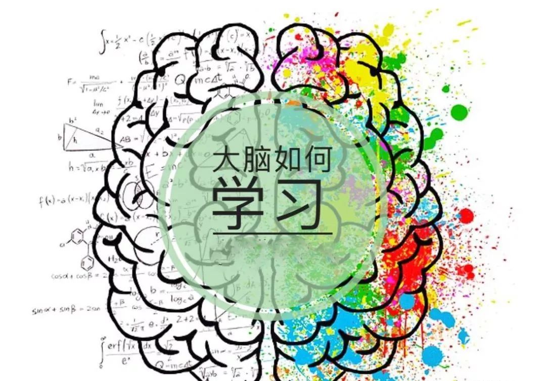 你必须了解大脑的喜好