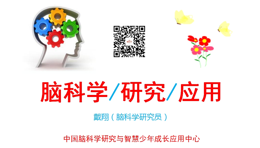 脑科学基础知识