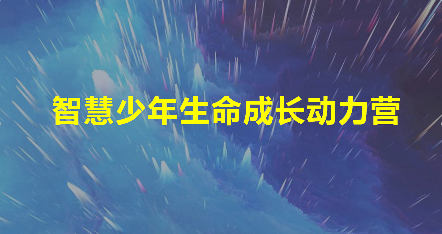 智慧少年生命成长动力营概览
